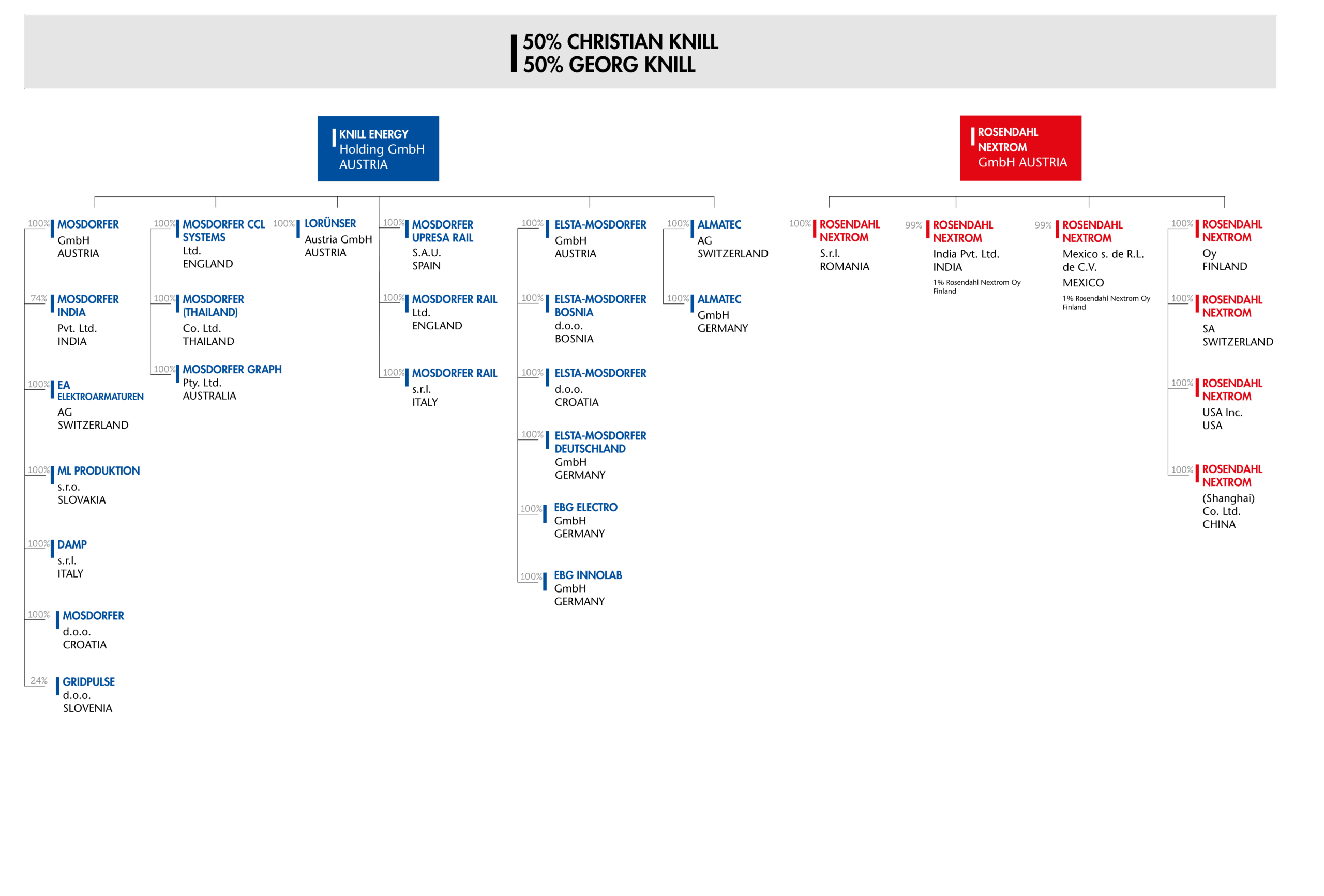 Organizational chart of the Knill Group